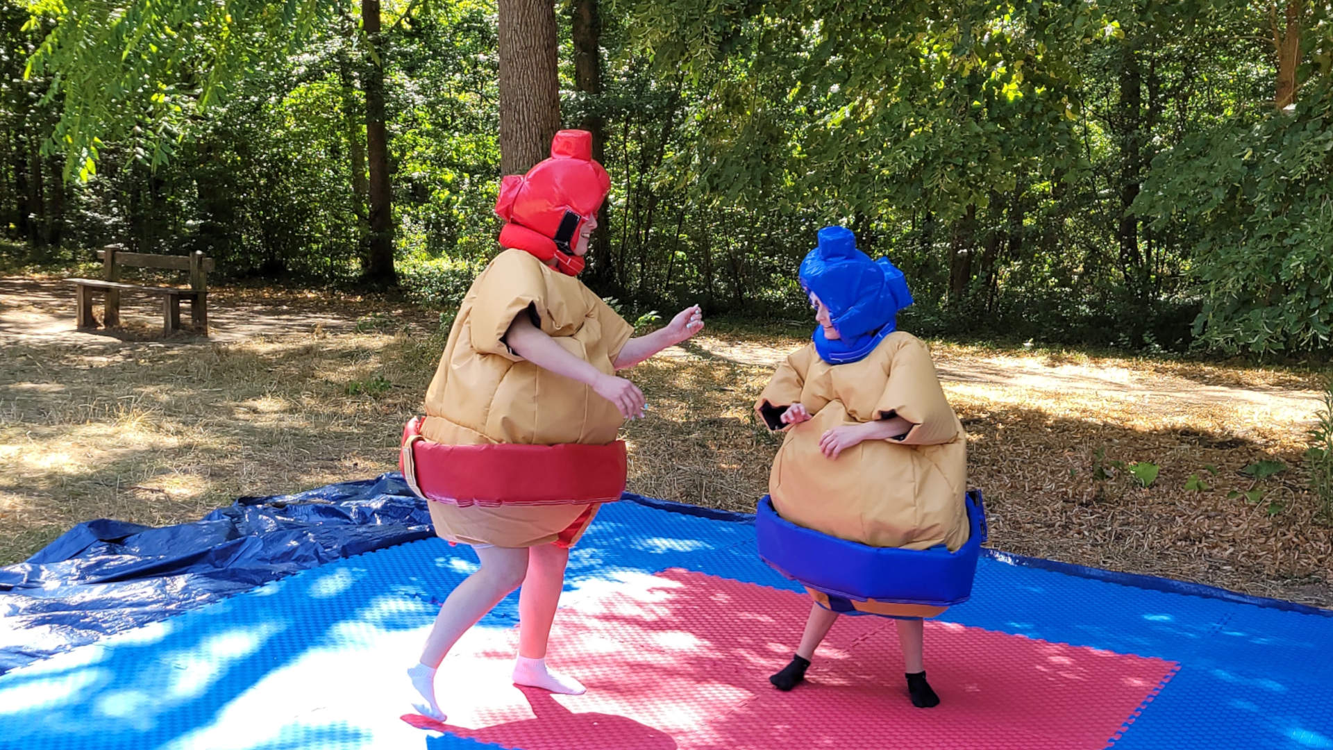 Combats de sumo
